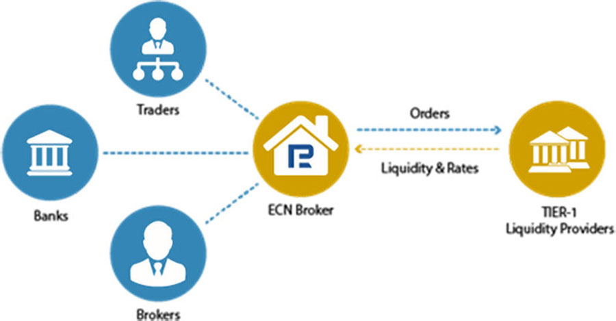 انواع حساب در فارکس